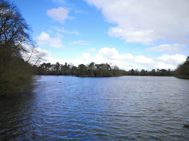 Hartsholme Country Park