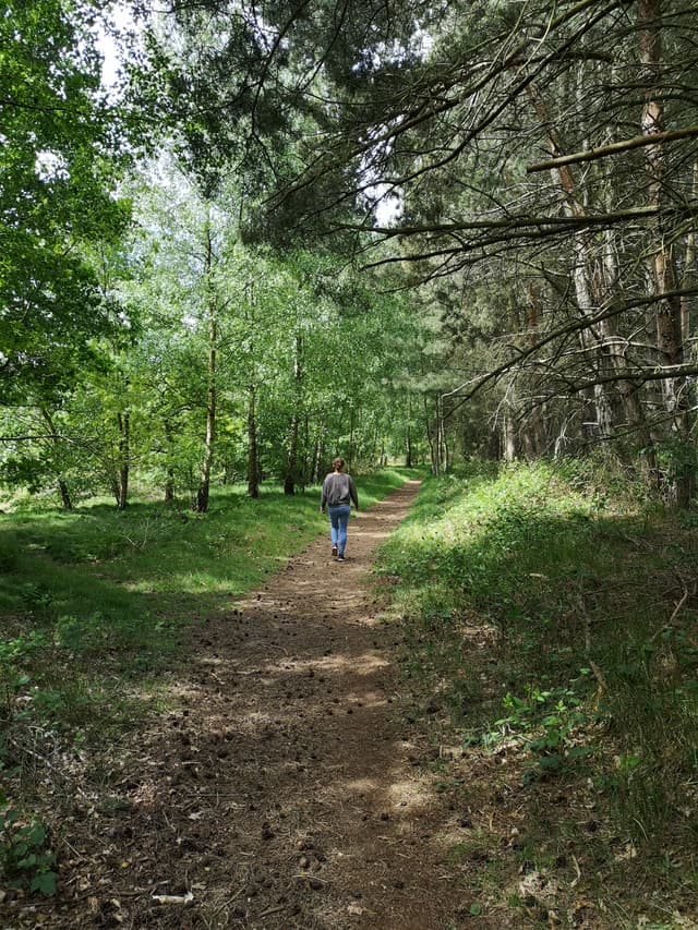 Spalford Warren Nature Reserve