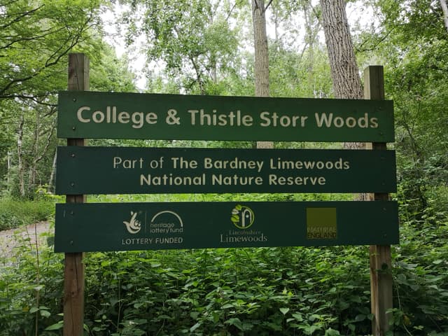 Bardney Limewoods National Nature Reserve- College & Thistle Storr Wood