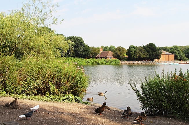 Rufford Abbey Country Park - image 1