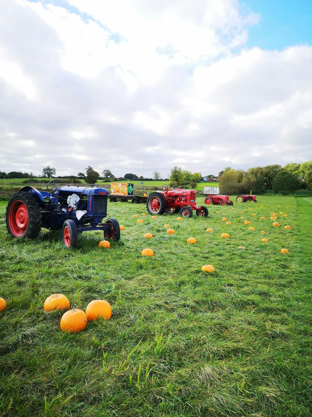 Willow Farm PYO Pumpkins Lincolnshire - image 1