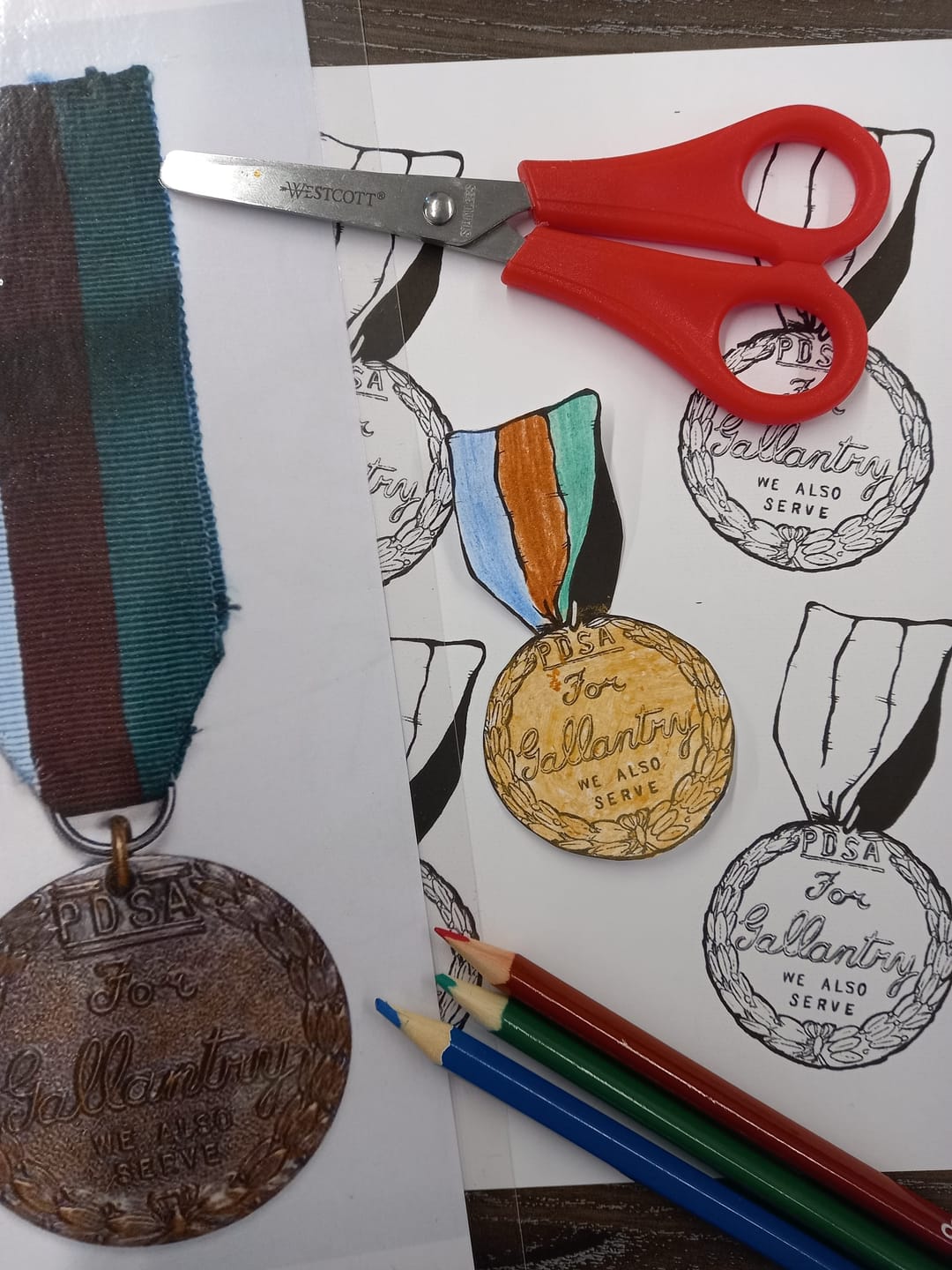 IBCC Dickin Medal and Animals of the War Activity Day - image 1