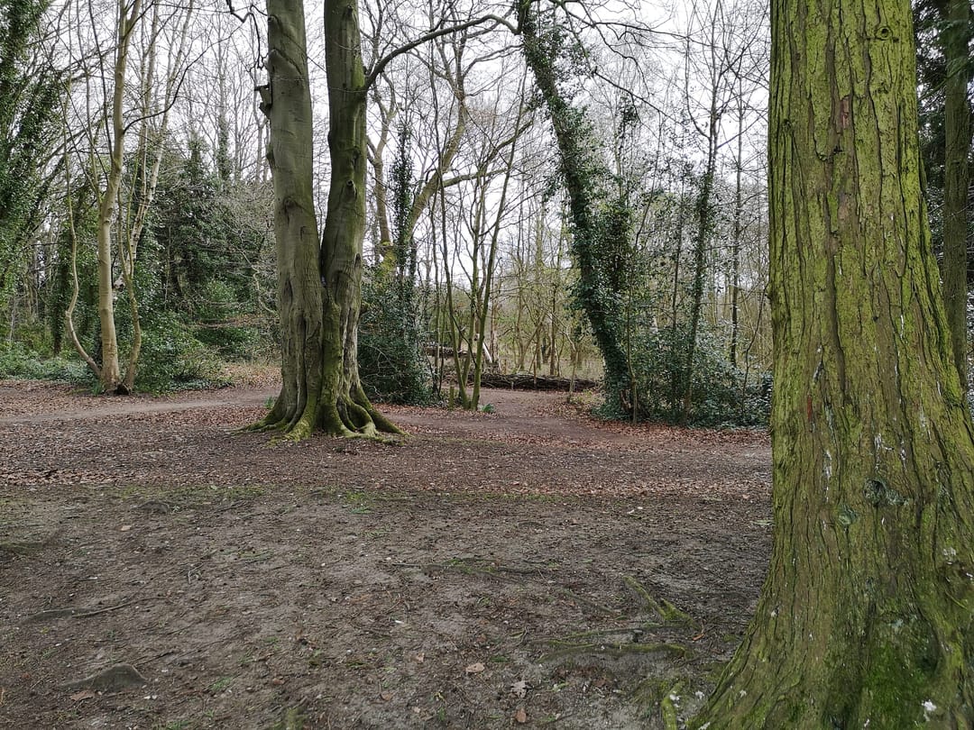 Hartsholme Country Park - image 2