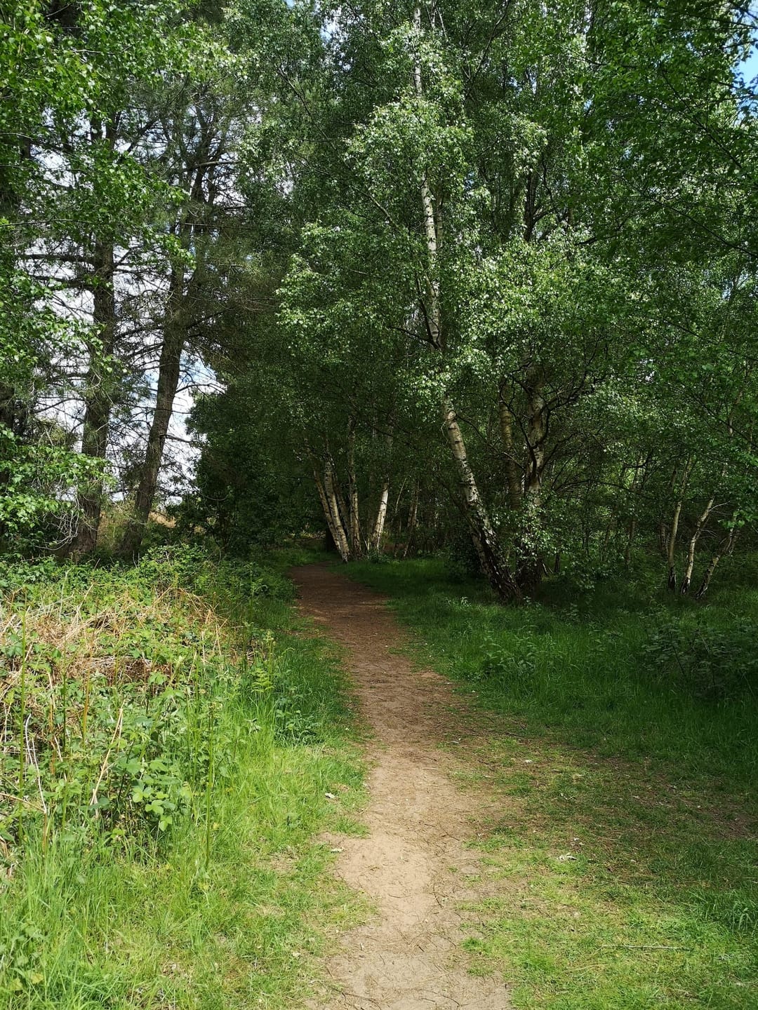 Spalford Warren Nature Reserve - image 2