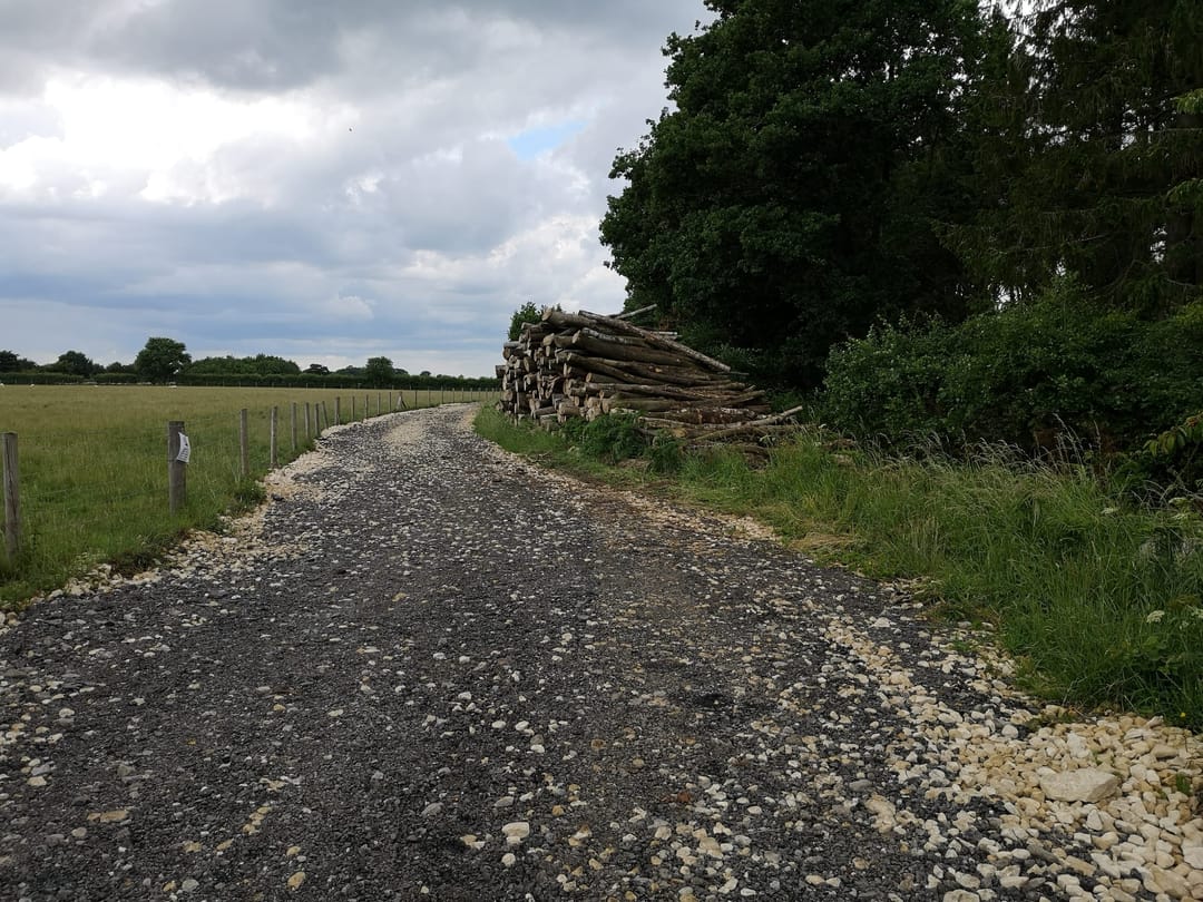 Potterhanworth and Burnt Woods Woodland Walk - image 1