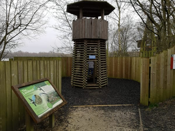 Little Darters' Wildlife Adventure Area, Whisby