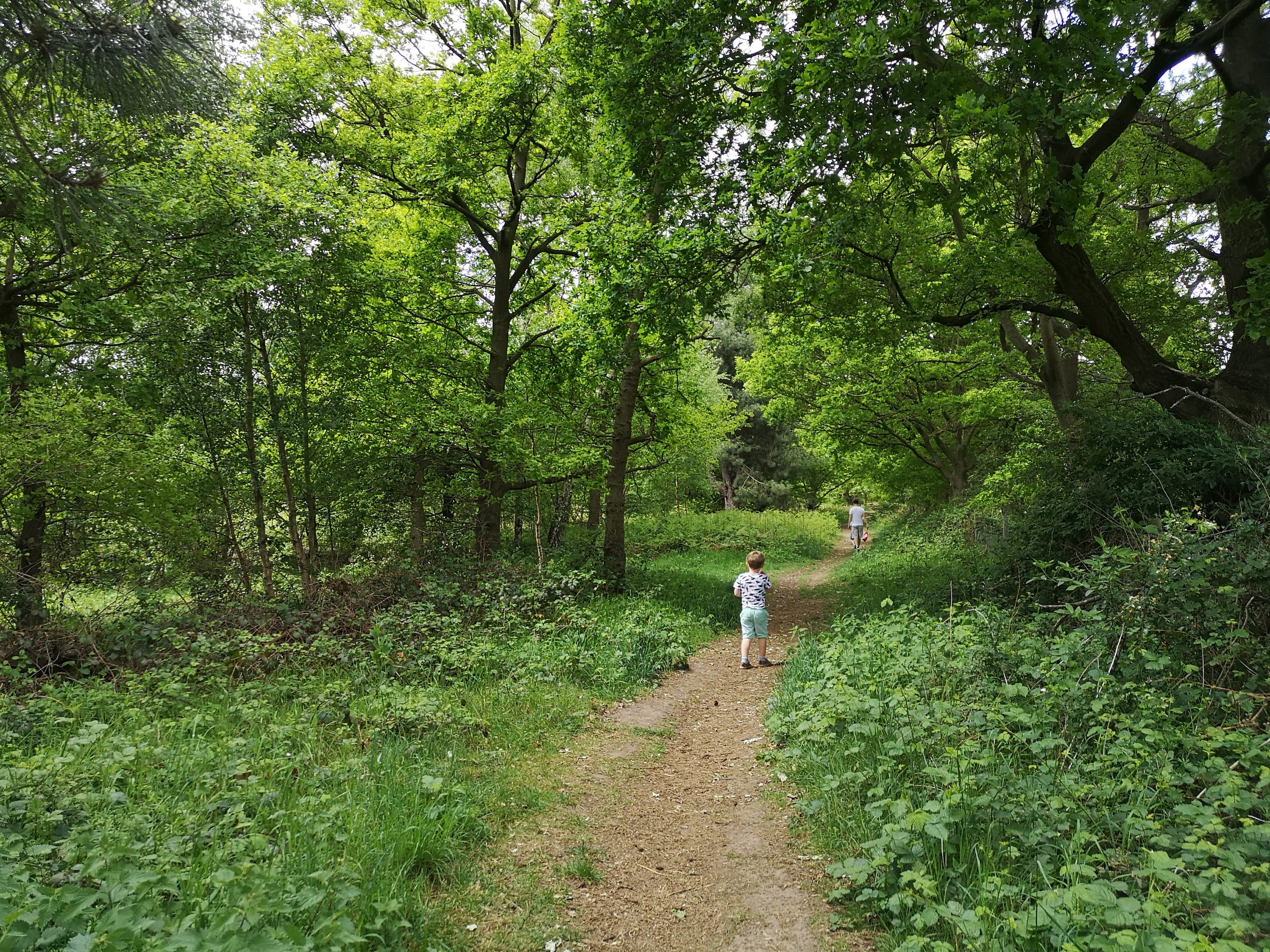 Family Friendly Walks in Lincolnshire