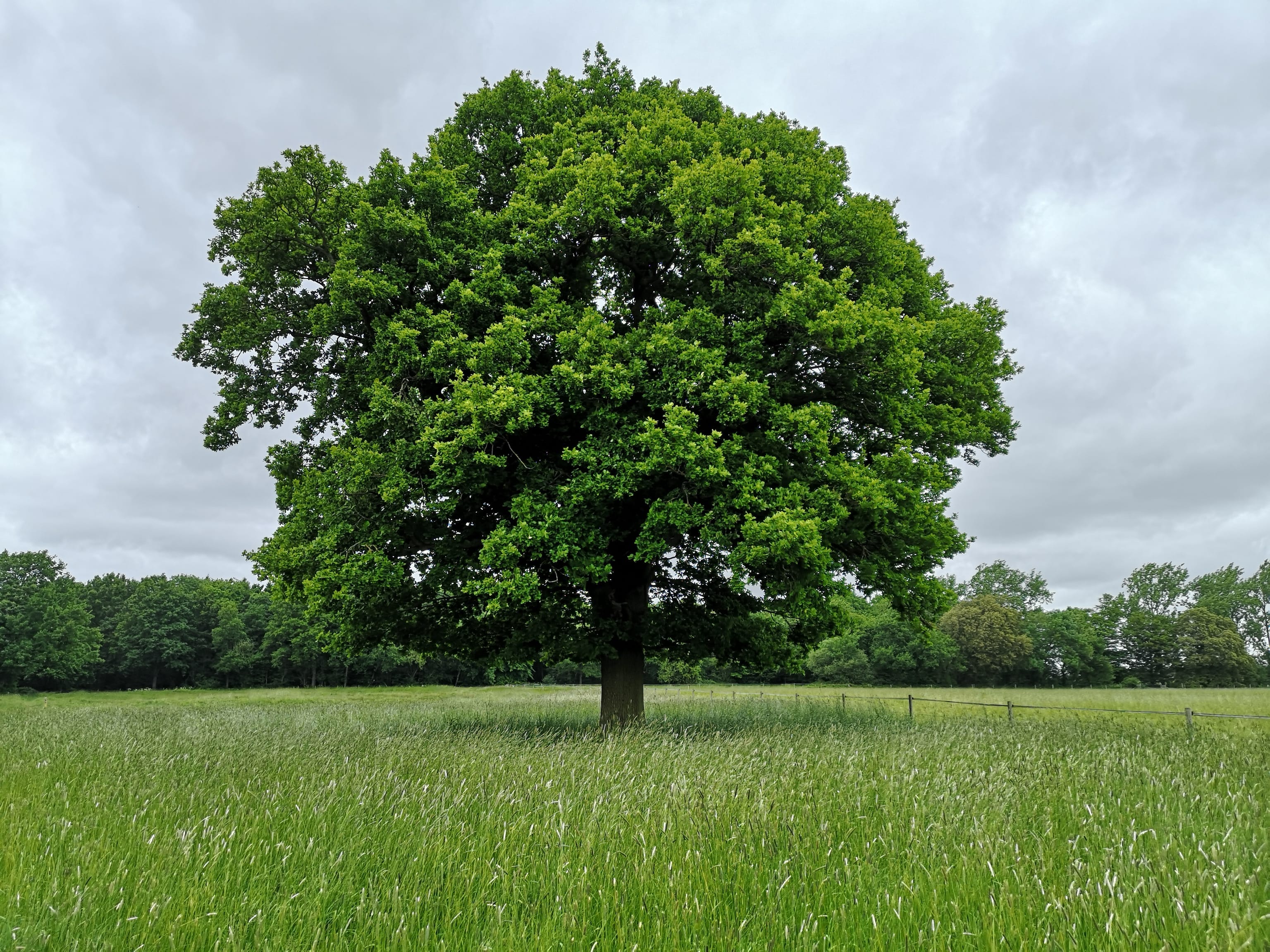 Family Friendly Walks in Lincolnshire