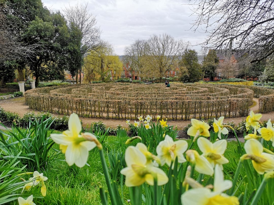 Lincoln Arboretum - image 1