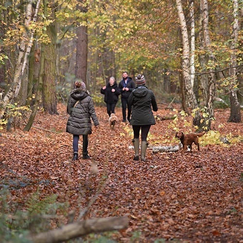 Willingham Woods