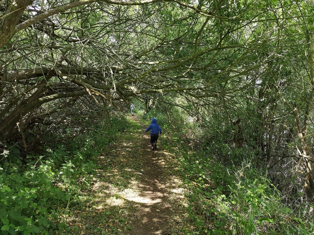 Walking around Girton Lakes - image 1