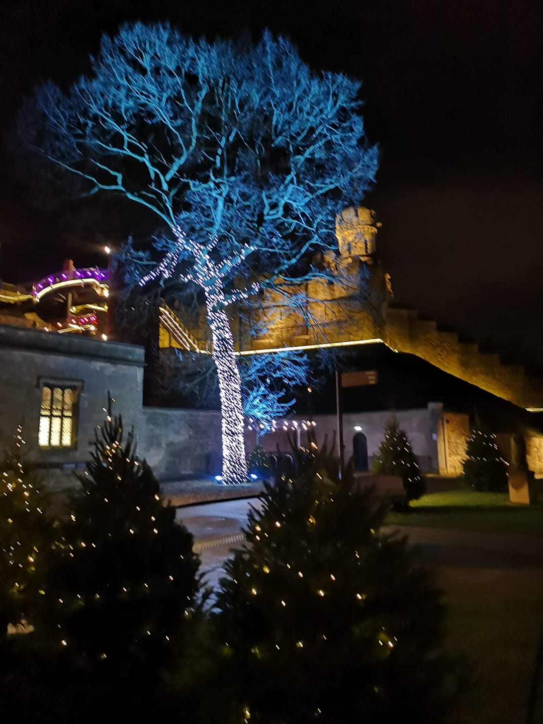 Lincoln Castle Illuminated - image 1