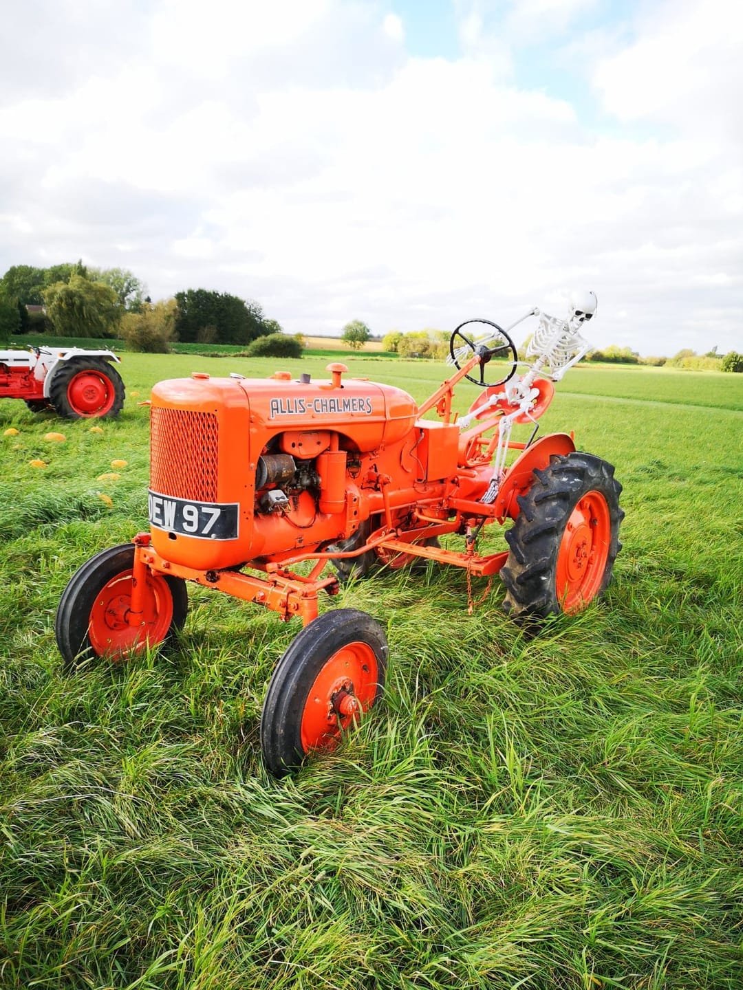 Willow Farm PYO Pumpkins Lincolnshire - image 2