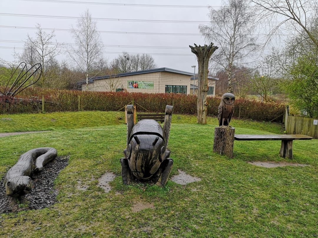 Little Darters' Wildlife Adventure Area, Whisby - image 1