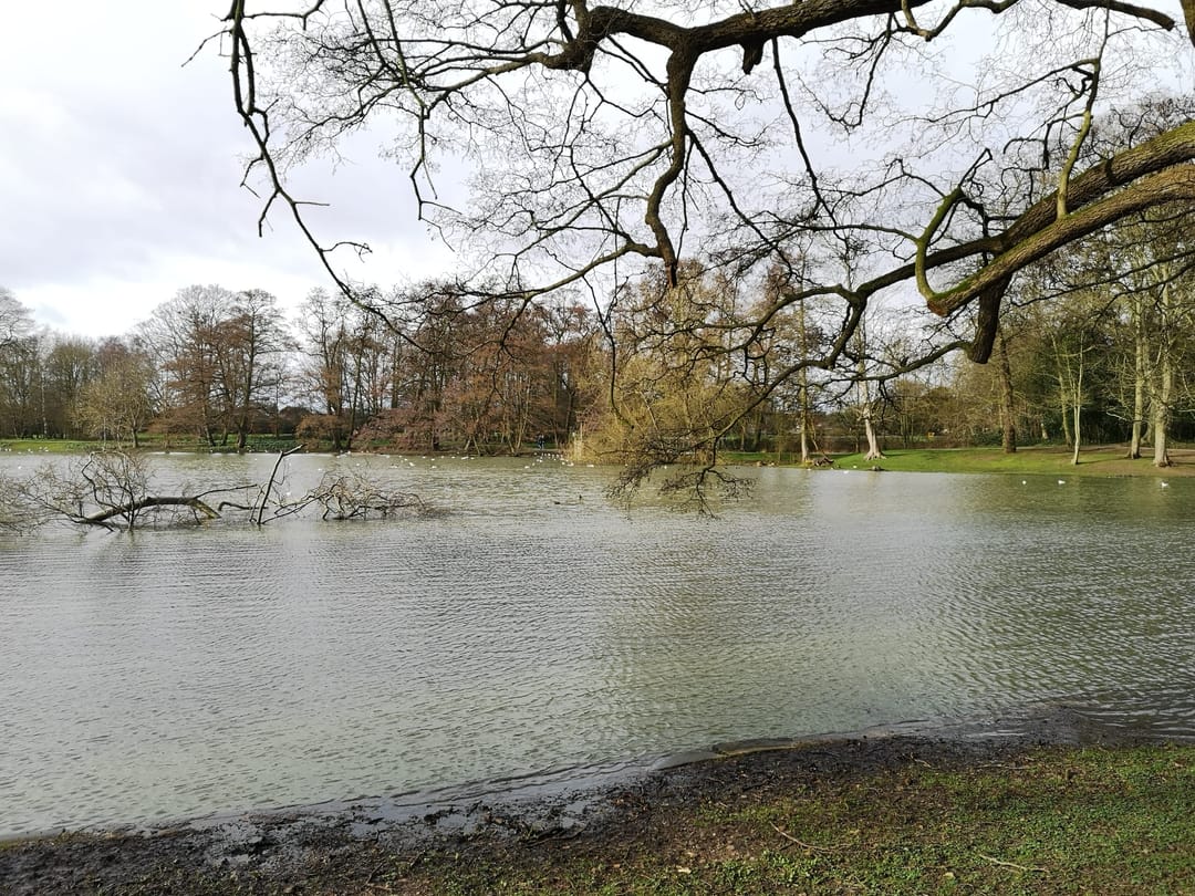 Boultham Park Lincoln - image 1