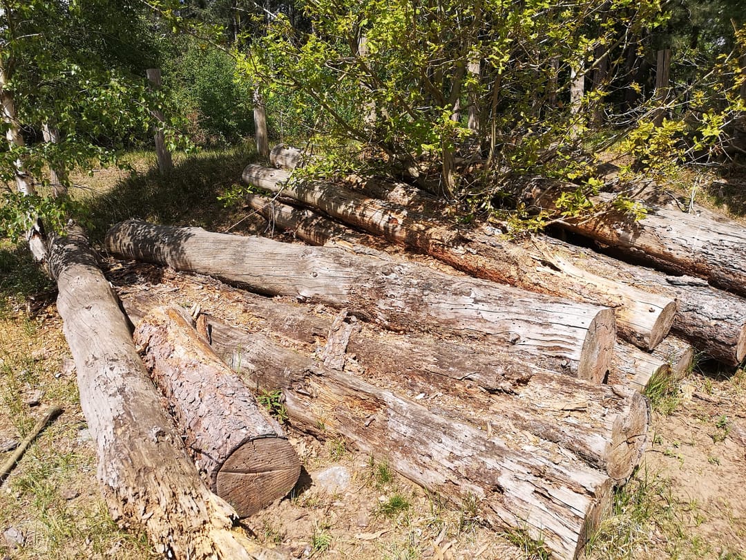Spalford Warren Nature Reserve - image 1