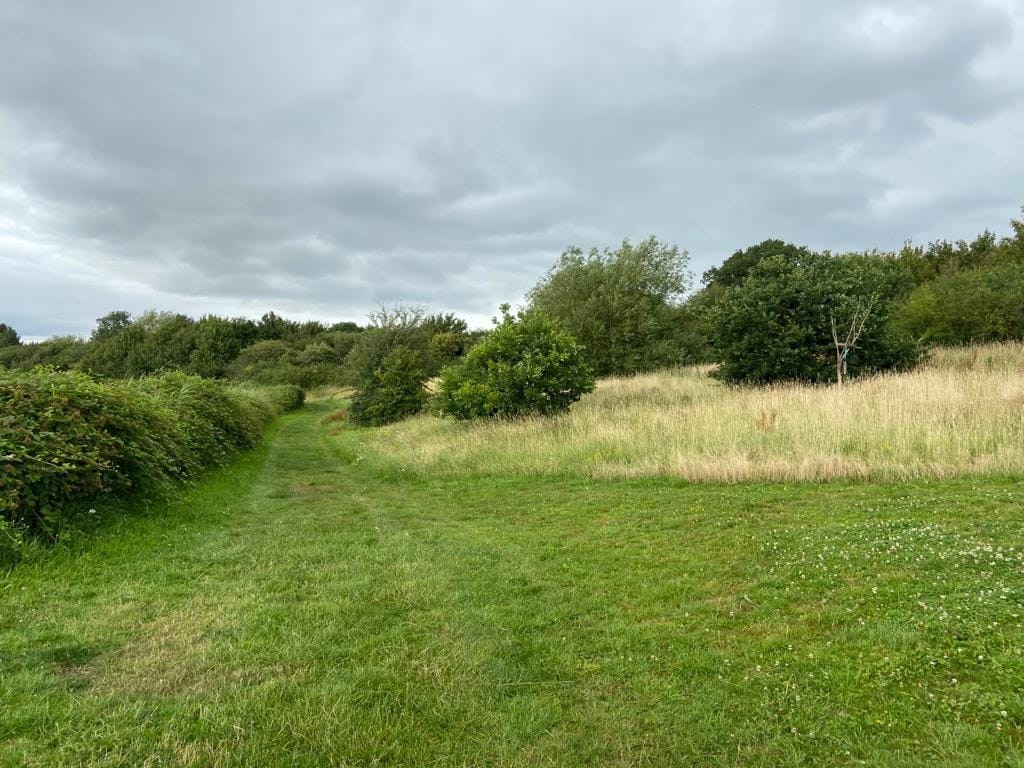 RSPB Langford Lowfields Nature Reserve - image 1