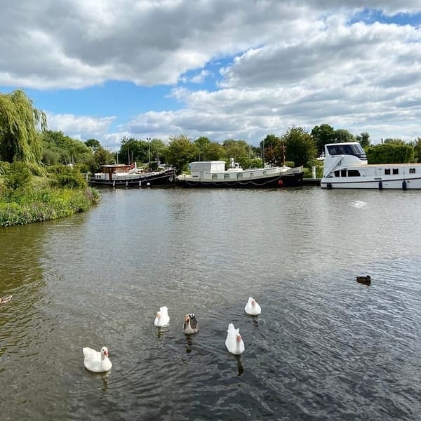 Farndon Ponds Nature Reserve
