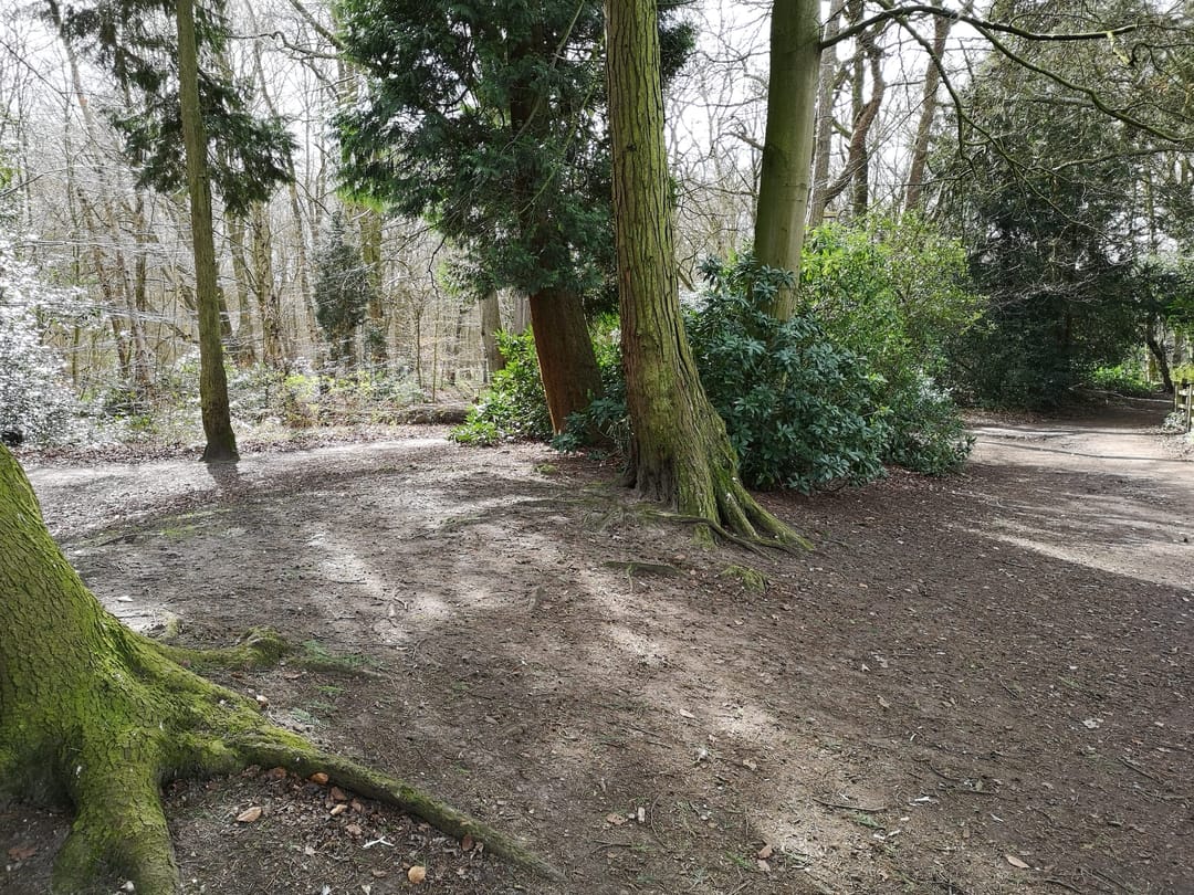 Hartsholme Country Park - image 2