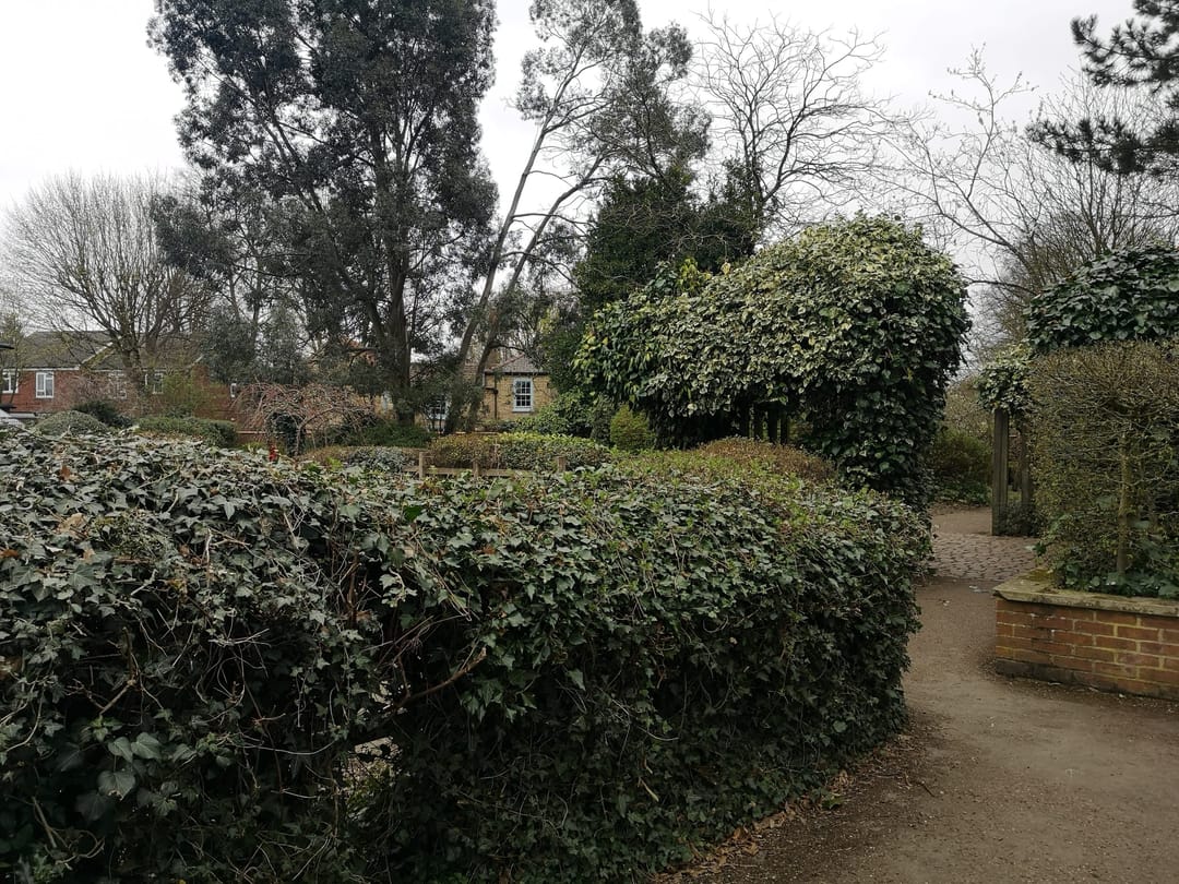 John Dawber Garden Lincoln - image 1