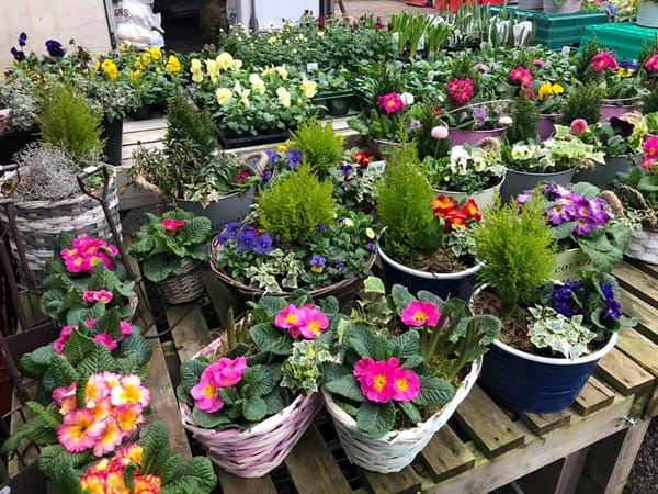 Willow Farm Country Store Lincoln