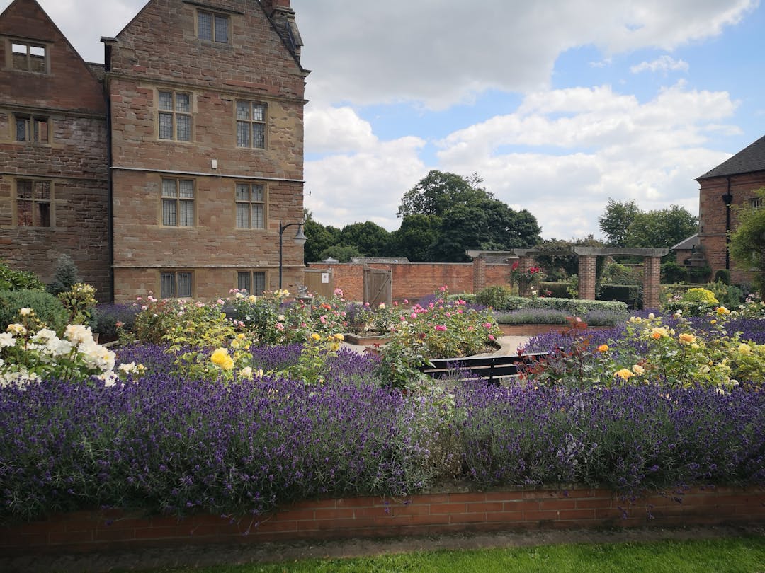 Rufford Abbey Country Park - image 2