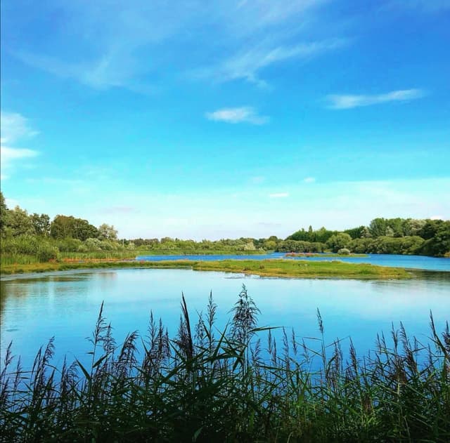Whisby Nature Park, Lincoln