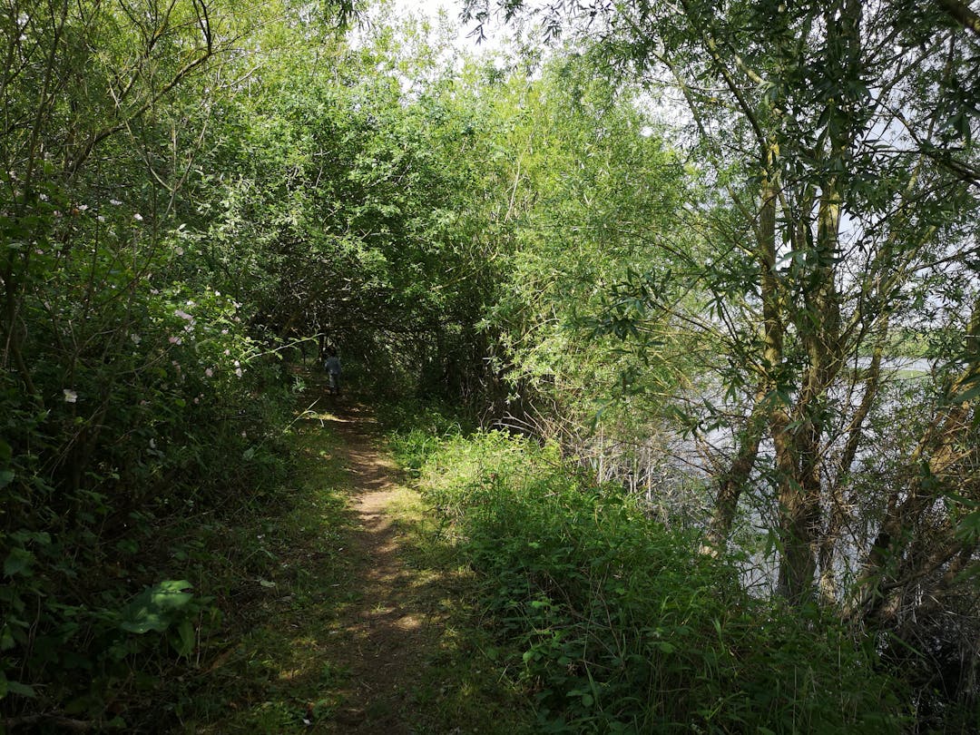 Walking around Girton Lakes - image 2