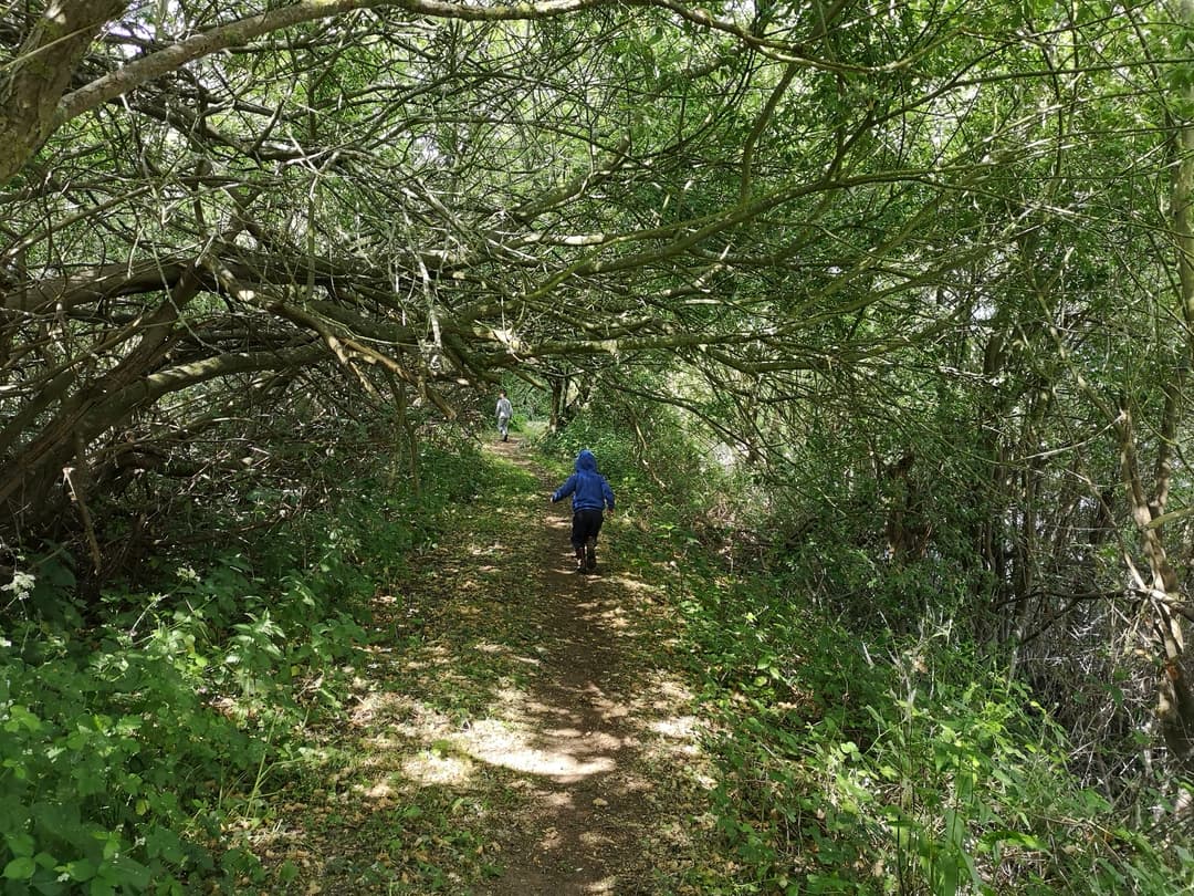 Walking around Girton Lakes - image 1