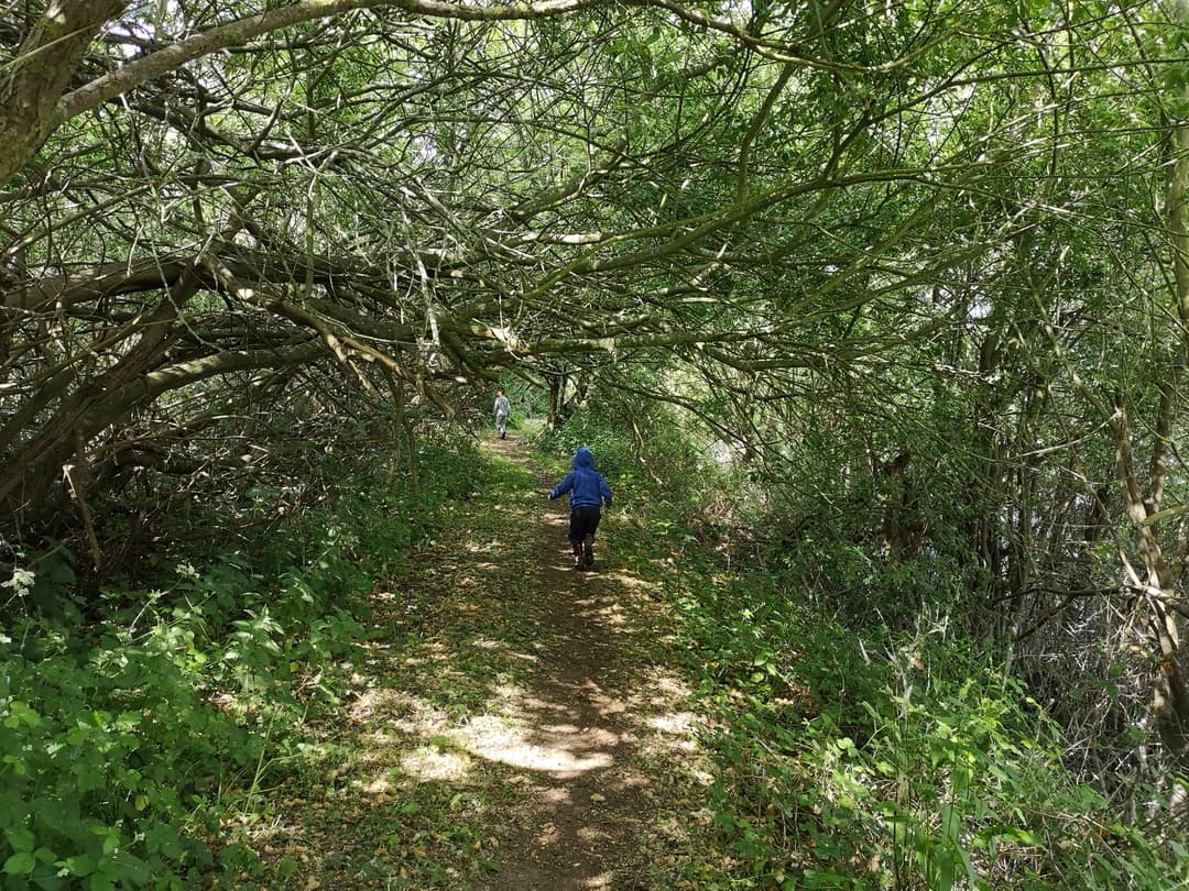 Walking around Girton Lakes - image 1