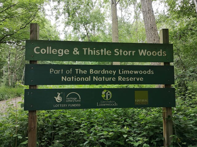 Bardney Limewoods National Nature Reserve- College & Thistle Storr Wood