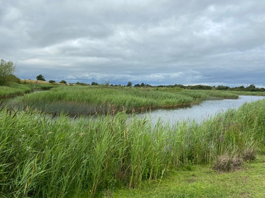 RSPB Langford Lowfields Nature Reserve - image 1