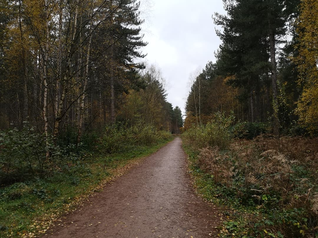 Stapleford Woods, Lincolnshire - image 2