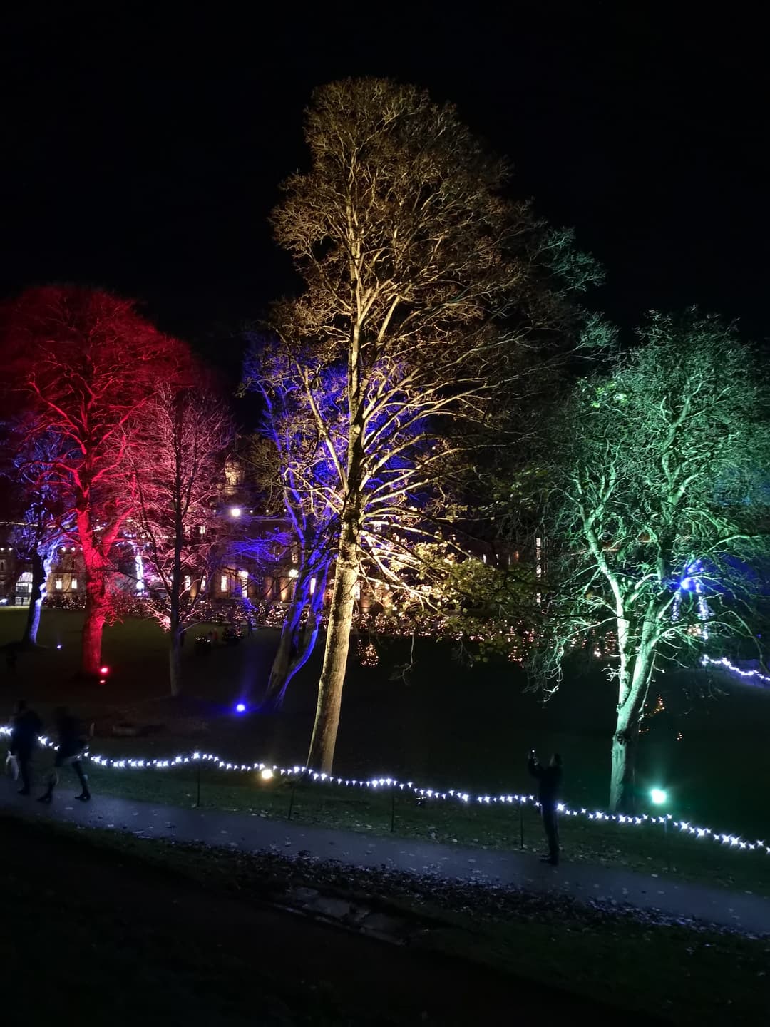 Lincoln Castle Illuminated Grounds  - image 2