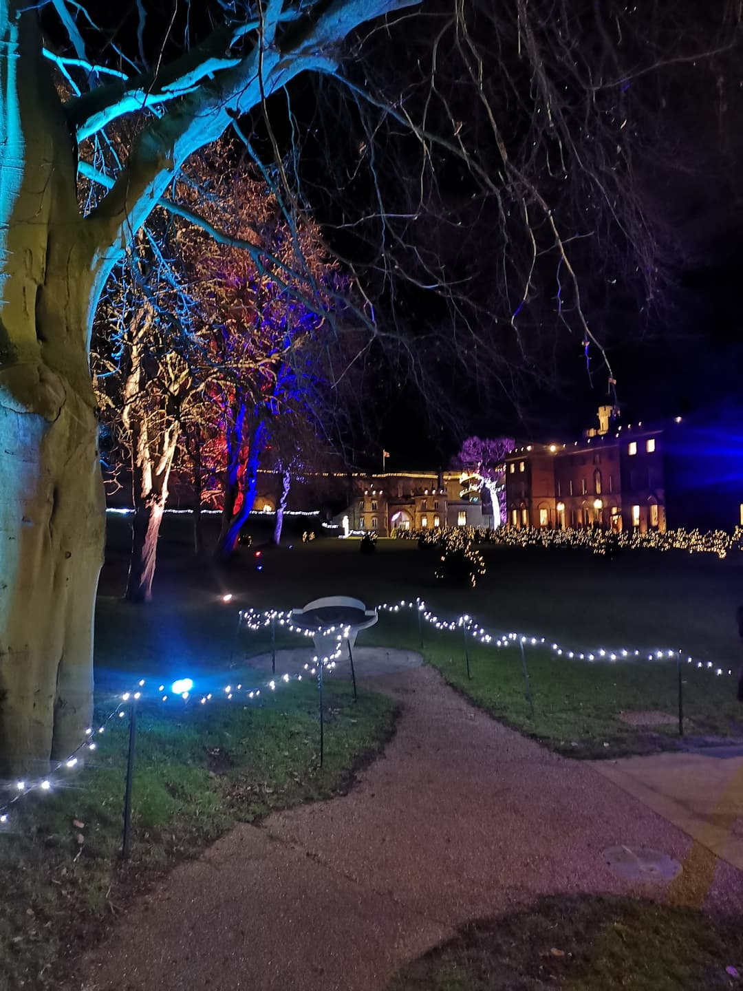 Lincoln Castle Illuminated Grounds - image 1