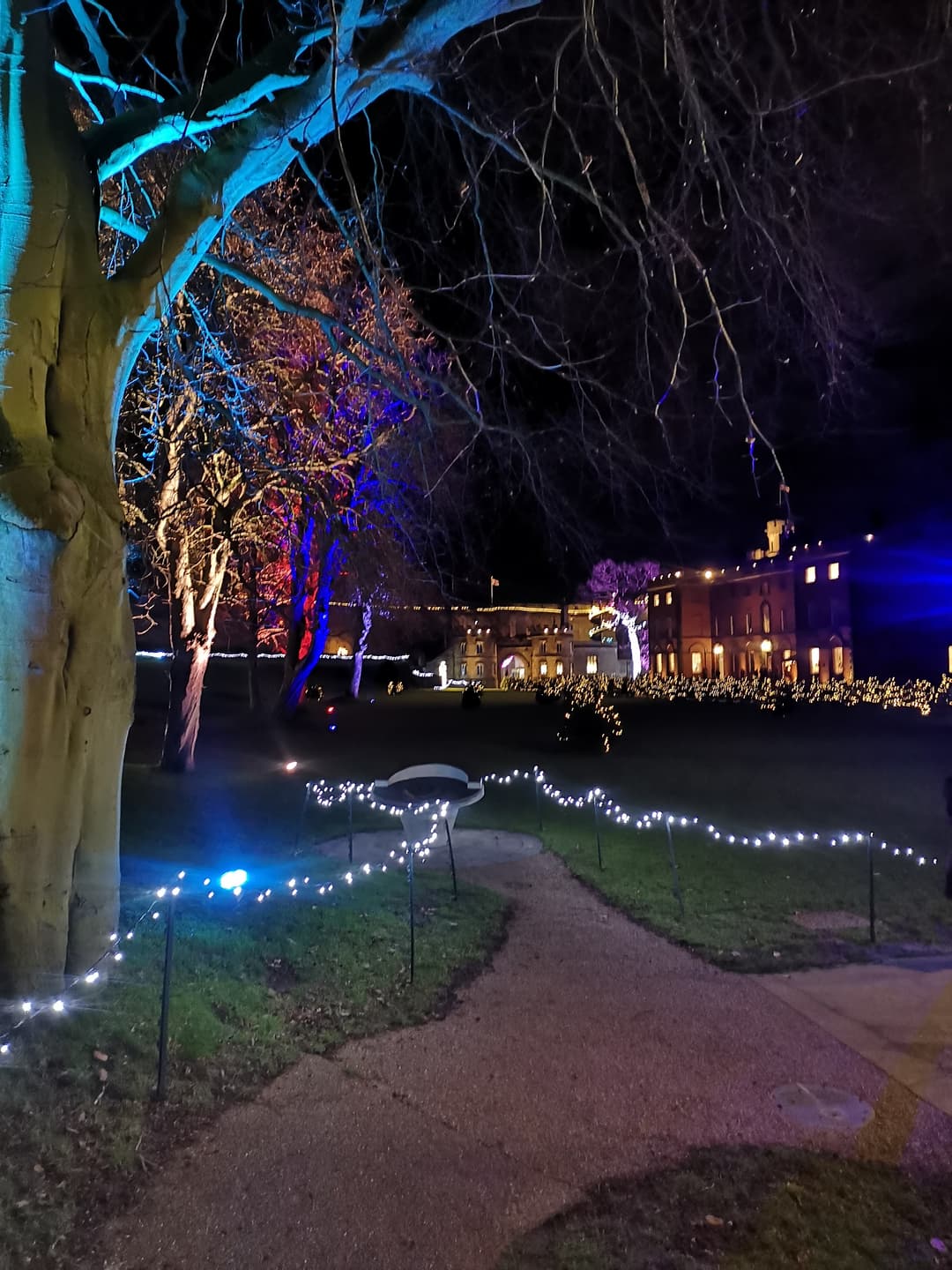 Lincoln Castle Illuminated Grounds  - image 1