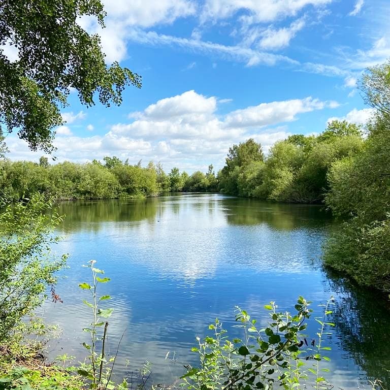 Farndon Ponds Nature Reserve - image 1