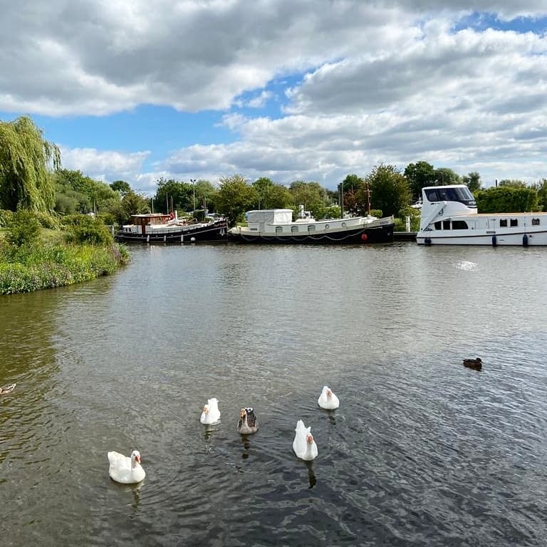 Farndon Ponds Nature Reserve - image 1