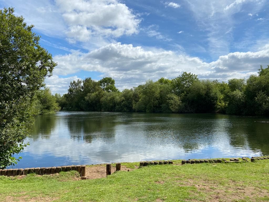 Farndon Ponds Nature Reserve - image 2