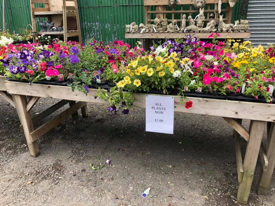 Willow Farm Country Store Lincoln - image 1